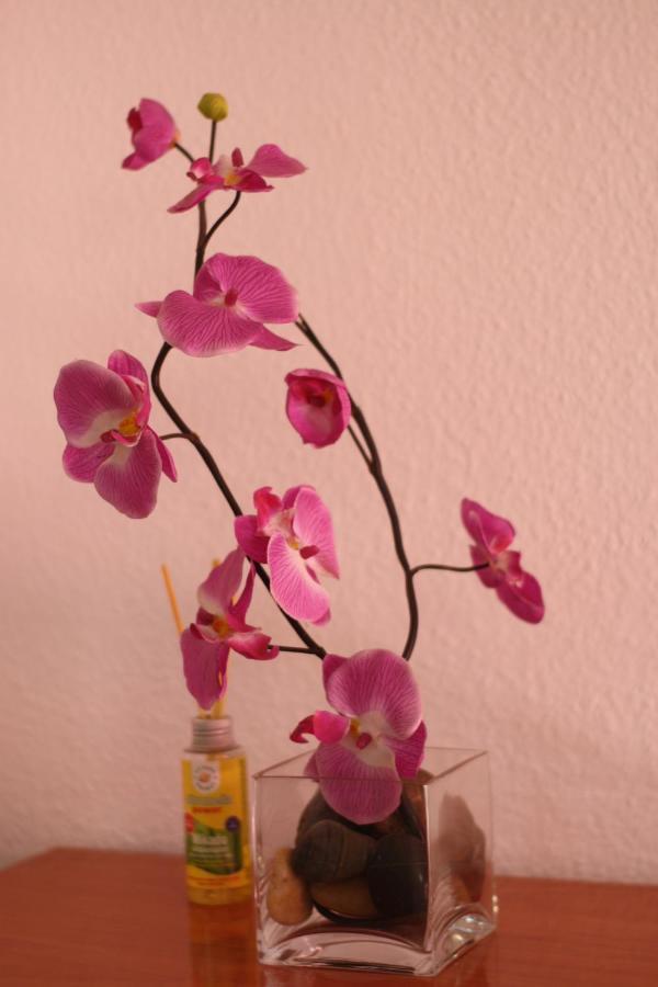 Apartamento Calle De La Cordera, 3 Torremolinos Exteriör bild